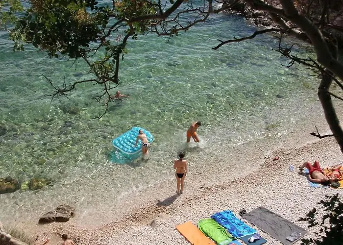 Apartamento In 40299